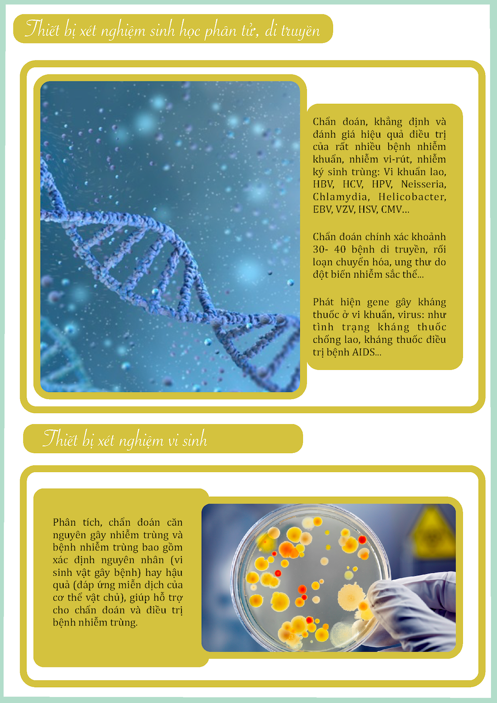 Molecular and genetic biological test